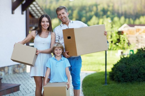 Careful loading of boxes and household items into a van